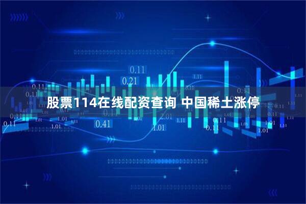 股票114在线配资查询 中国稀土涨停